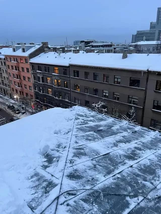 Snow and Leaf Removal