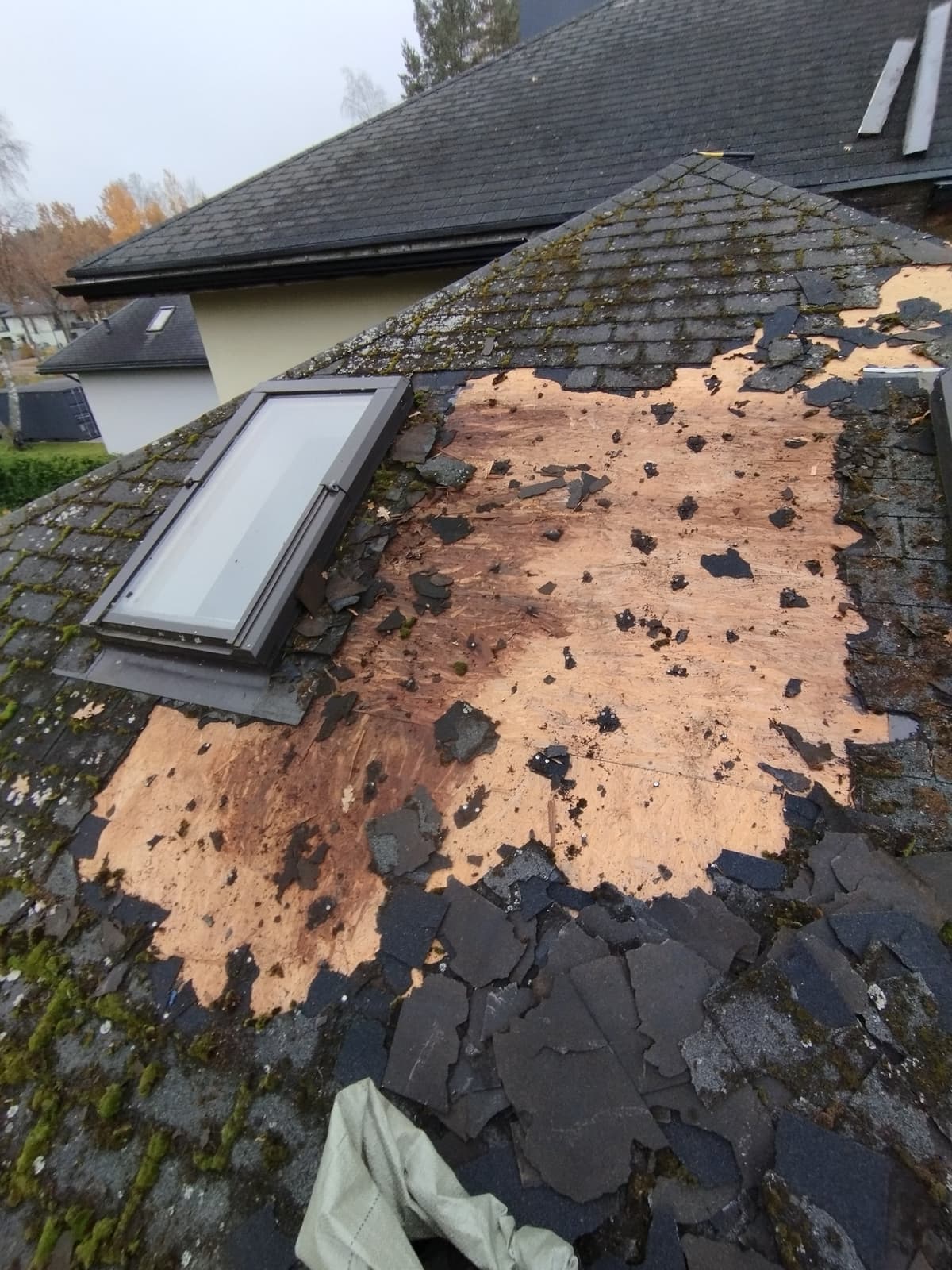Signs Your Roof Needs Repair