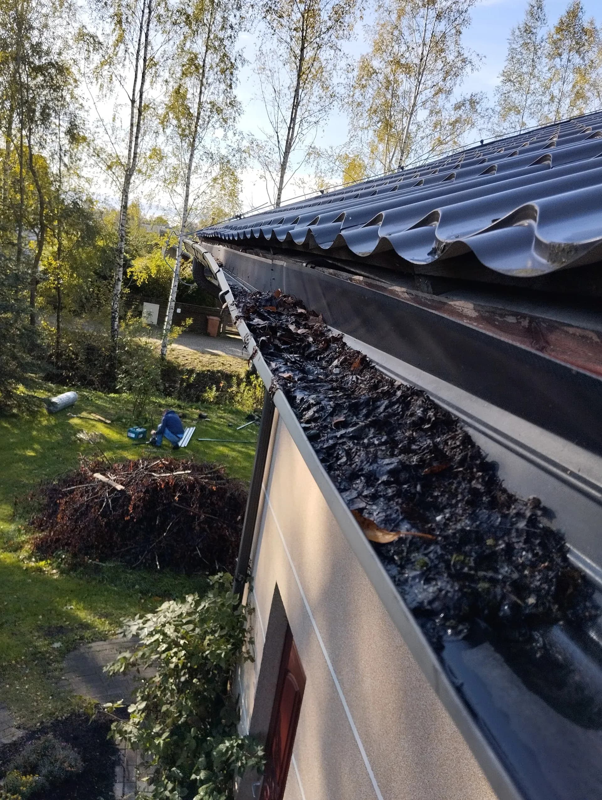 JUMTA TĪRĪŠANA NO LAPĀM UN NOTEKSISTĒMAS TĪRĪŠANA